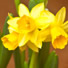 London at Easter